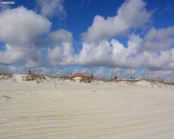 Florida - Daytona Bike Week 2015