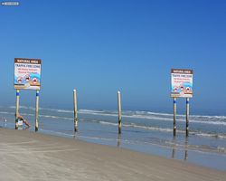 Florida - Daytona Bike Week 2015