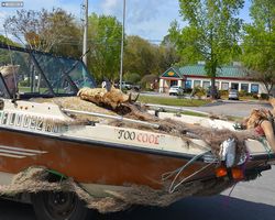 Florida - Daytona Bike Week 2015