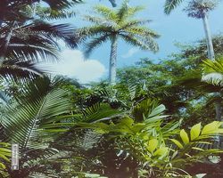 Florida - Miami 1987