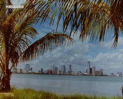 Florida - Miami 1987