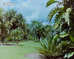 Florida - Miami 1987