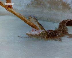 Florida - Miami 1987