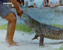 Florida - Miami 1987