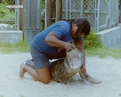 Florida - Miami 1987