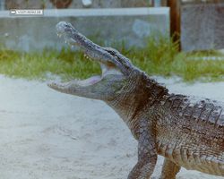 Florida - Miami 1987