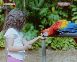 Florida - Miami 1987