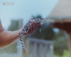 Florida - Miami 1987