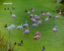 Florida - Miami 1987