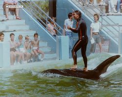 Florida - Miami 1987