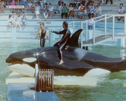 Florida - Miami 1987