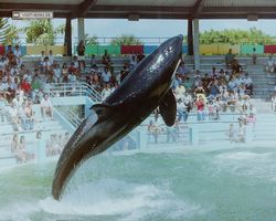 Florida - Miami 1987