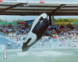 Florida - Miami 1987