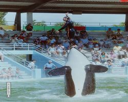 Florida - Miami 1987