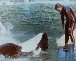 Florida - Miami 1987