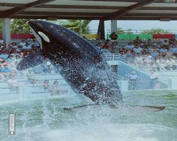 Florida - Miami 1987