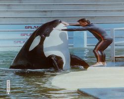 Florida - Miami 1987