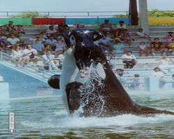 Florida - Miami 1987