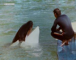 Florida - Miami 1987