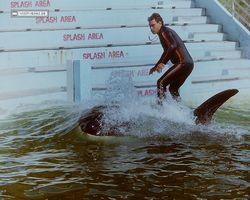 Florida - Miami 1987