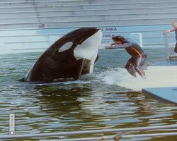 Florida - Miami 1987