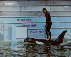 Florida - Miami 1987