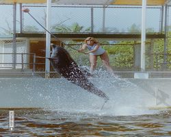 Florida - Miami 1987