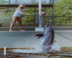 Florida - Miami 1987