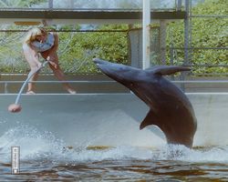 Florida - Miami 1987