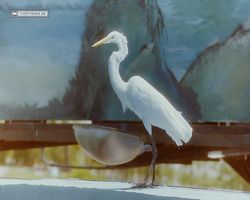 Florida - Miami 1987