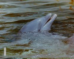 Florida - Miami 1987