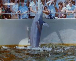 Florida - Miami 1987