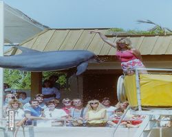 Florida - Miami 1987