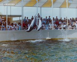Florida - Miami 1987