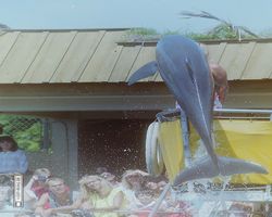 Florida - Miami 1987