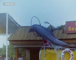 Florida - Miami 1987