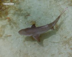 Florida - Miami 1987