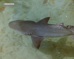 Florida - Miami 1987