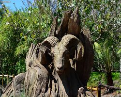 Florida - Orlando - Animal Kingdom