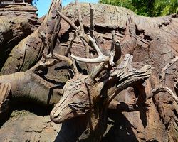 Florida - Orlando - Animal Kingdom