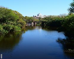 Florida - Orlando - Animal Kingdom