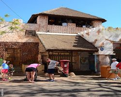 Florida - Orlando - Animal Kingdom