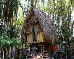 Florida - Orlando - Animal Kingdom