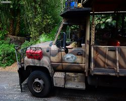 Florida - Orlando - Animal Kingdom