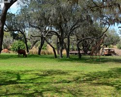 Florida - Orlando - Animal Kingdom