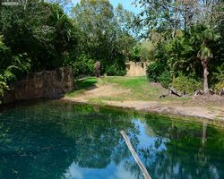 Florida - Orlando - Animal Kingdom