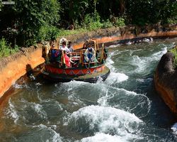 Florida - Orlando - Animal Kingdom
