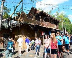 Florida - Orlando - Animal Kingdom