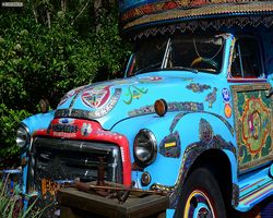 Florida - Orlando - Animal Kingdom