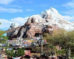 Florida - Orlando - Animal Kingdom